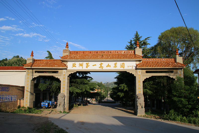 中原年货采购节-寺河山灵宝苹果